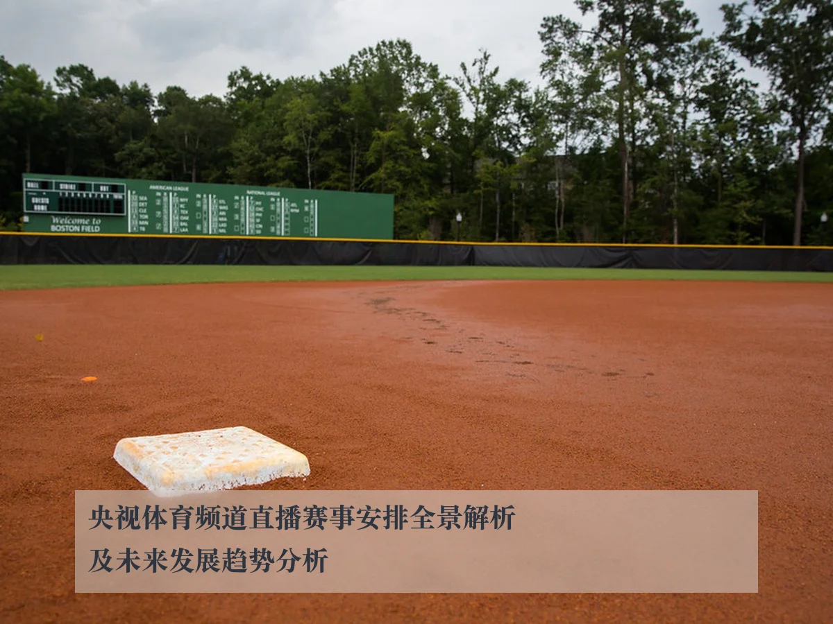 央视体育频道直播赛事安排全景解析及未来发展趋势分析
