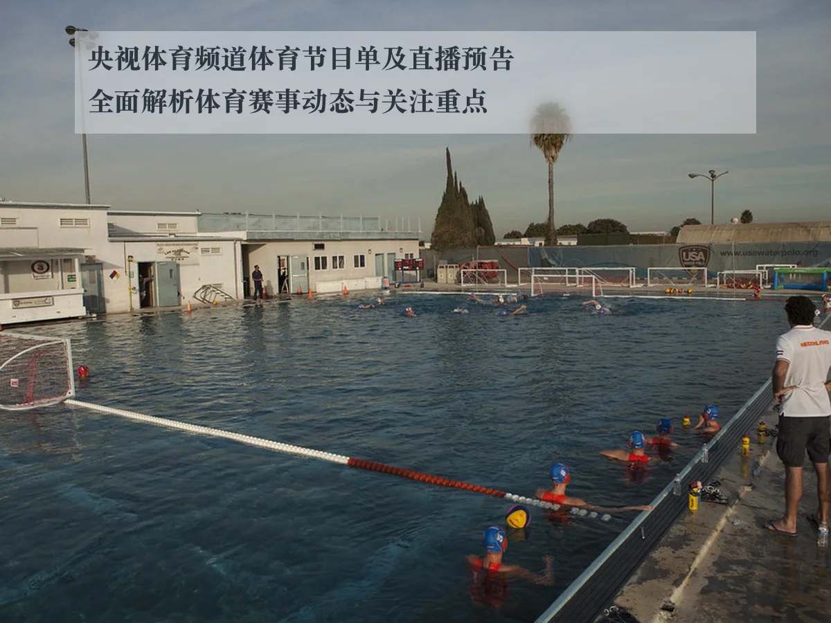 央视体育频道体育节目单及直播预告全面解析体育赛事动态与关注重点